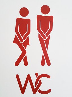 Les règles à respecter lors de l'installation de toilettes